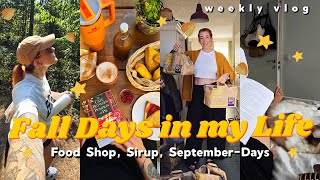 Hello September 🍂🎃 Cozy Mornings PSL Sirup amp Scones Food Shop amp neue Ziele  Weekly Vlog 219 [upl. by Hara]