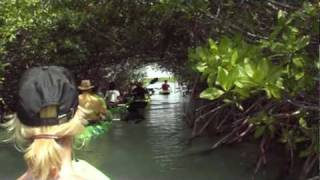 Kajakken in de mangrove van Bonaire [upl. by Eralcyram]