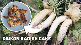 How we cooked our giant homegrown daikon radishes — Chinese fried radish cake recipe [upl. by Rramel]