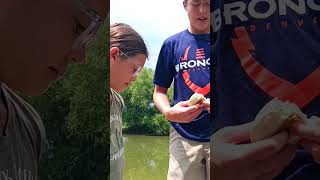 Trapping Minnows Minnows in Our Pond Part 2 silverperch fishing trapping fyp shorts angler [upl. by Oninotna]