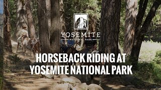 Trail Rides in Yosemite National Park  TravelYosemitecom [upl. by Anilef]