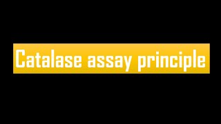 catalase assay principle [upl. by Timothy241]