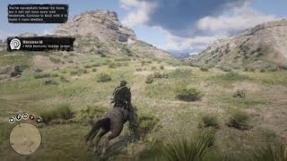 Red Dead Redemption 2  RDR2  HORSEMAN 10 CHALLENGE  WILD KENTUCKY SADLER  LOCATION  HORSE [upl. by Lalittah]