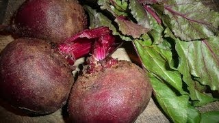 How To Juice Beets Recipe [upl. by Norahc616]