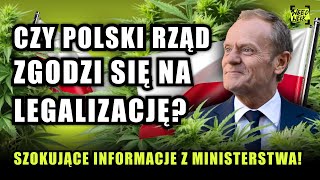 JEST ZGODA NA LEGALIZACJĘ WYJAŚNIAM OSTATNIE DONIESIENIA ODC 43 [upl. by Aniakudo118]