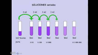 Dilucion seriada [upl. by Nyllaf]