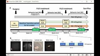 PoChun Chu Analysis of FUS Neuromodulation on KainicAcidInduced Epilepsy Models [upl. by Ametaf]