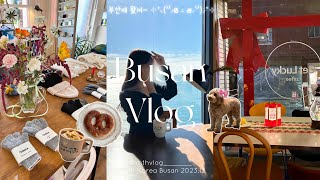 【 Busan vlog 】釜山が良すぎたから見て？🥹✩‧₊˚  1泊2日韓国釜山旅行🇰🇷  西面 田浦 海雲台 影島 [upl. by Annairdna455]