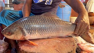 Amazing Cutting Skills  Fastest Big Rohu Fish Cutting By Expert Fish Cutter [upl. by Ybroc437]