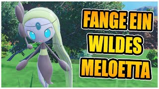 GEHEIMES EVENT  SO findest du MELOETTA im DLC 💃  Karmesin amp Purpur [upl. by Nylaret70]