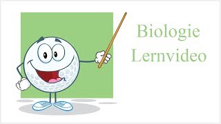 Diffusion amp Osmose  Biologie Lernvideo [upl. by Pare]