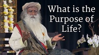 What is the Purpose of Life  Sadhguru [upl. by Ailedamla651]