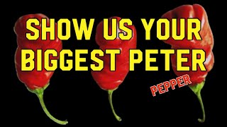 Peter Pepper Contest Winner Wins 100 [upl. by Hibben327]