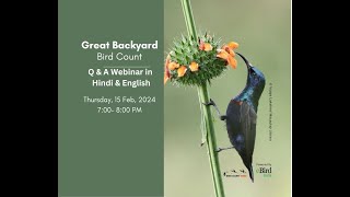 All about Great Backyard Bird Count India GBBC [upl. by Richards]