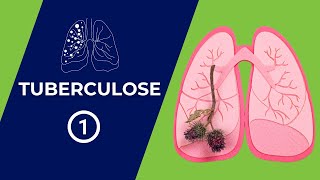 Tuberculose Pulmonaire  Définition Physiopathologie et Diagnostique Partie 1 [upl. by Nohtahoj]