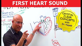 S1 Heart Sounds and Murmurs  First Heart Sound  Dr Najeeb🫀 [upl. by Gnilhsa620]