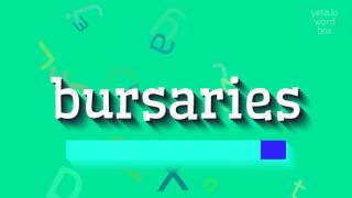 BURSARIES  HOW TO PRONOUNCE BURSARIES [upl. by Emmeline]