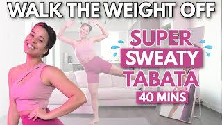 Weight loss Tabata Workout Challenge  No Equipment Warm up amp Cool Down Included [upl. by Gurolinick428]