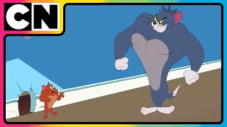 Tom amp Jerry 😺🐭 Just Cat amp Mouse Things  tomandjerry  Funny Cartoons  cnindia [upl. by Adnovoj]