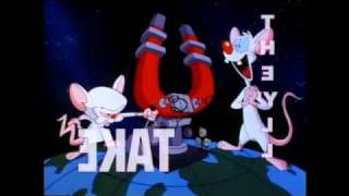 Pinky Y Cerebro  Opening Latino [upl. by Soalokcin]