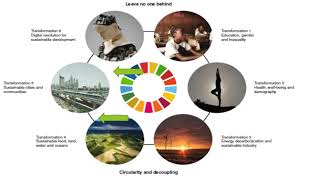 5 GARP SCR Sustainability Climate Risk UN SDG Green Swan amp ESG [upl. by Eanahc745]