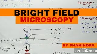 Bright Field Microscopy  Principle  Working  Advantages and disadvantages [upl. by Yahsat]