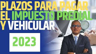 PLAZOS para pagar el IMPUESTO predial y vehicular en el 2023 [upl. by Anahsek]