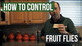 How to Control Fruit Flies [upl. by Hennebery603]