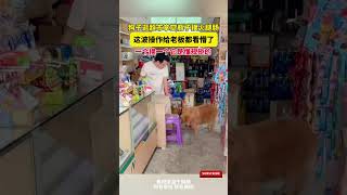 狗子逛超市拿空瓶子換火腿腸，這波操作給老板都看懵了，壹個換壹個它是懂規矩的 cuteanimal pets 萌寵 [upl. by Niall]