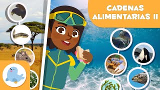 CADENAS ALIMENTARIAS para niños 🌱⬅🐝⬅🐦⬅🐺 Terrestres y acuáticas 🌼 Episodio 2 [upl. by Marba506]