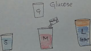 Corticosteroid classification picnemonic [upl. by Aivyls684]