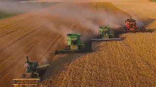 LaRosh Wheat Harvest 2015 [upl. by Anitsuga]