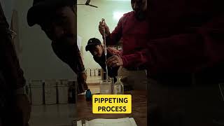 PIPETTING PROCESS [upl. by Yrahk]