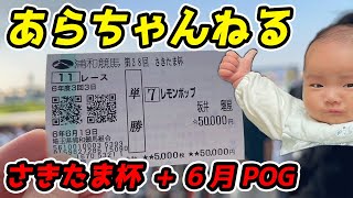 【あらちゃんねる】pog勝負はまだまだ始まったばかり【20242025 POG】1カ月目 [upl. by Ahsirpac]