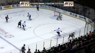 Knoxville Ice Bears VS Columbus Cottonmouths 02062014 [upl. by Atilrep]