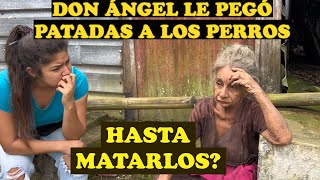 SE MUERIERON LOS PERROS DE DOÑA NATIVIDAD [upl. by Znerol]