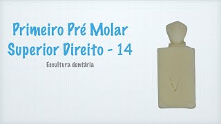 Primeiro Pré Molar Superior Direito  14 [upl. by Valeria]