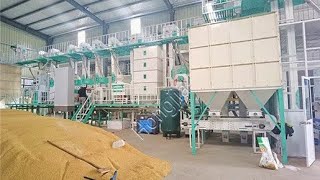 rice mill machines final part [upl. by Subak]