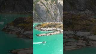 Endicott Arm amp Dawes Glacier alaska glacier Check the FULL VIDEO [upl. by Panayiotis]