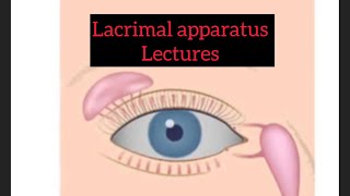 Lacrimal apparatus lectures part 8 Eye lectures  Jatoi eyelectures eye lacrimalgland jatoi [upl. by Picardi]