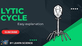 LYTIC CYCLE OF VIRUSES REPLICATION CYCLE OF VIRUSES  virus lifescience science [upl. by Leventhal]