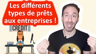 🔴 QUELS SONT LES DIFFÉRENTS TYPES DE PRÊT POUR FINANCER UN PROJET DE CRÉATION DENTREPRISE 🏦💰💵 [upl. by Oicnecserc]