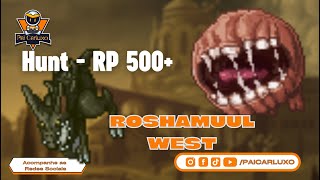 Tibia Roshamuul West  45kk de exp RAW  RP 500 Saga RP 2022 guia para iniciantes [upl. by Akimot921]