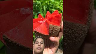 Mamey sapote  sawo jumbo fruit buahbuahan [upl. by Emmuela]