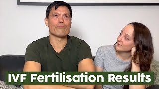 IVF and MicroTESE Fertilisation Results [upl. by Bartosch48]