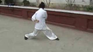 a kung fu masters amazing exercise [upl. by Sabella]