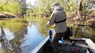 Absolute quotCodfestquot 2022 Murray cod bait fishing from a boat with cheese and worms [upl. by Johny]