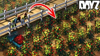 I STARTED THE RICHEST TOMATO FARM ft FrankieOnPCin1080p [upl. by Ehtnax]