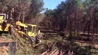 Tigercat Skidder 620 D [upl. by Adele]