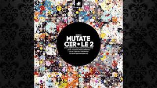 Mutate  Circle 2 Alberto Pascual Remix BLANK CODE [upl. by Adlihtam]